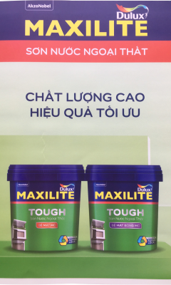 Bảng màu sơn Maxilite