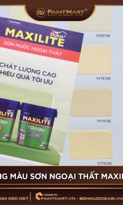 Sơn lót chống kiềm Maxilite